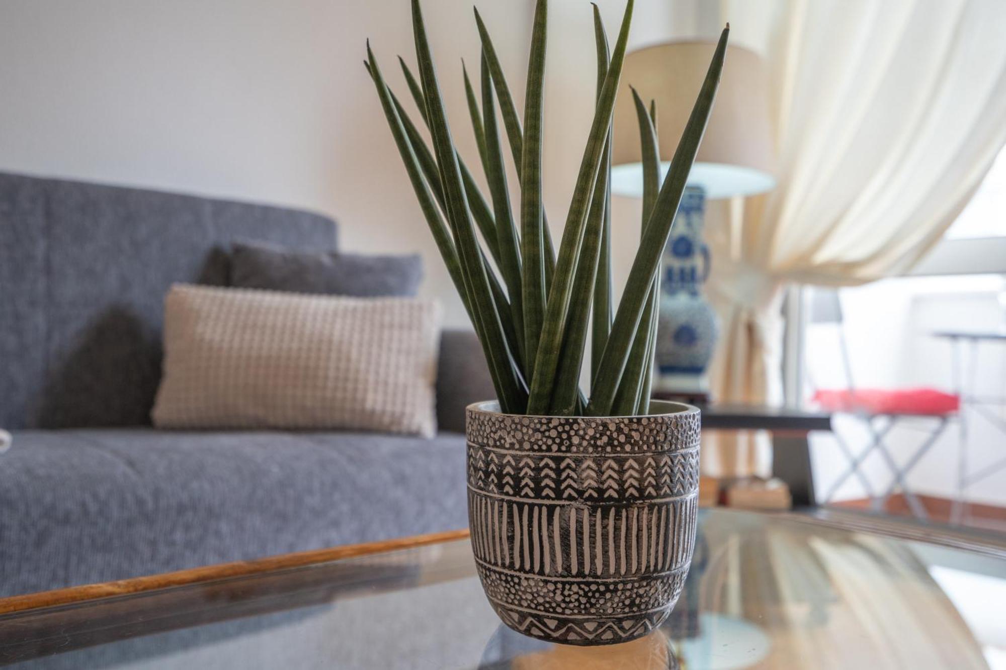 Apartamento Escadinhas Лагос Екстериор снимка
